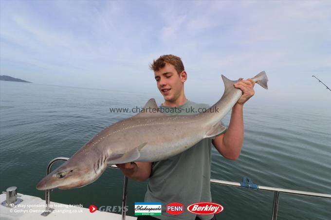 25 lb 5 oz Starry Smooth-hound by Lewis