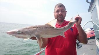 7 lb 4 oz Smooth-hound (Common) by Russell from sheppy