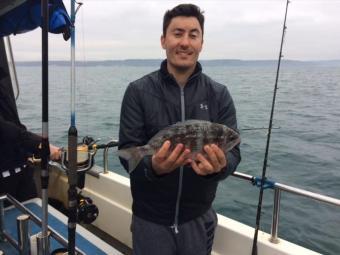 2 lb 2 oz Black Sea Bream by Unknown