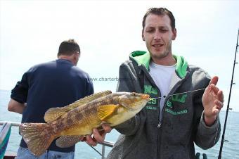 2 lb Ballan Wrasse by Mark