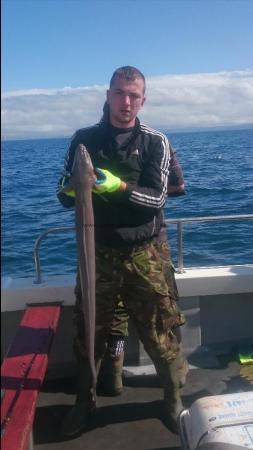 15 lb Conger Eel by Unknown