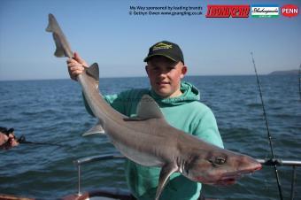 17 lb Starry Smooth-hound by Alex