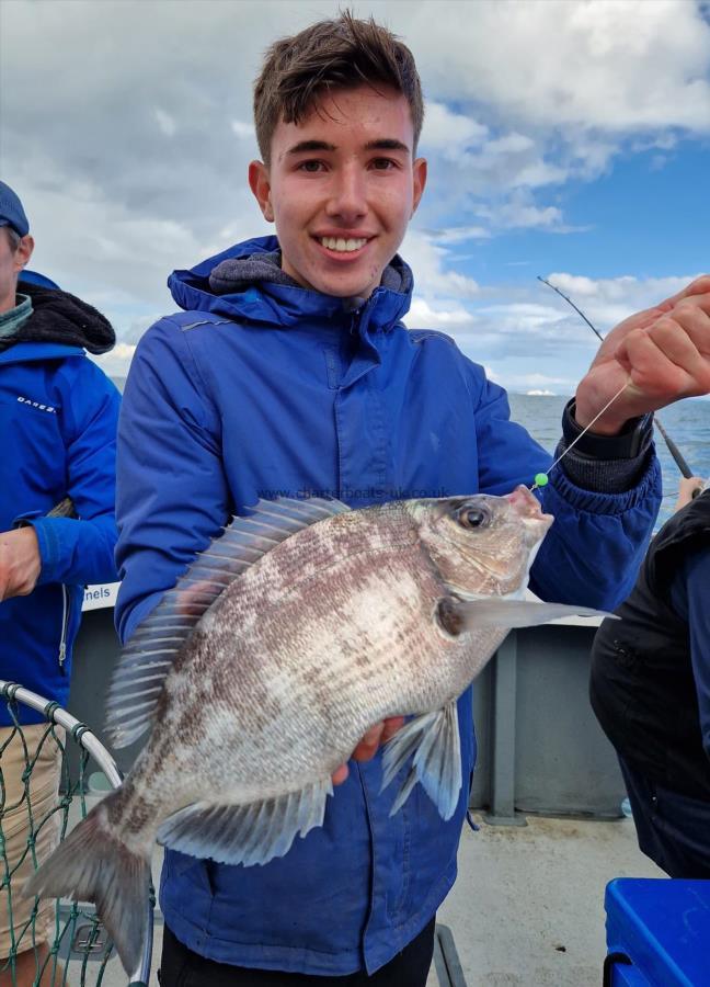 2 lb 8 oz Black Sea Bream by Unknown