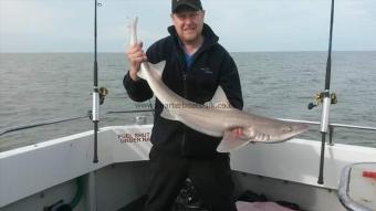 17 lb 9 oz Starry Smooth-hound by Carl Porter