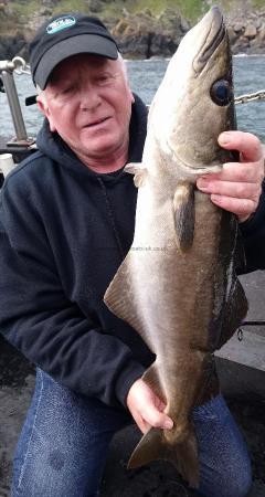 6 lb Pollock by alan