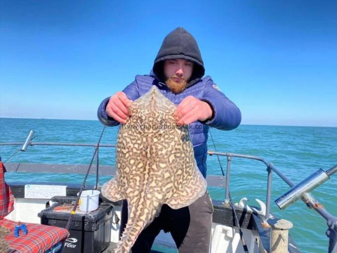 12 lb Thornback Ray by Unknown