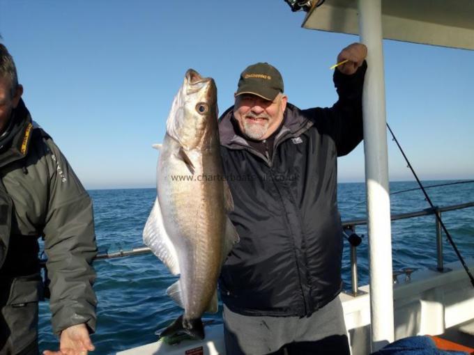 12 lb 8 oz Pollock by Bob