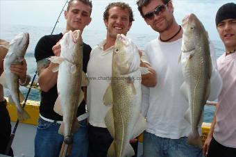 14 lb Cod by The Twins And Co