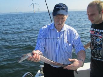 3 lb 5 oz Conger Eel by Unknown