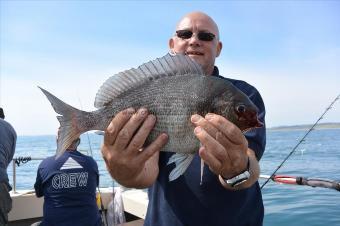 4 lb 8 oz Black Sea Bream by Stephen Wake