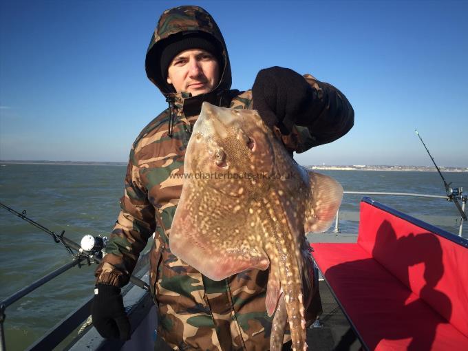 6 lb 7 oz Thornback Ray by Unknown