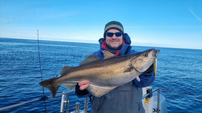 11 lb 10 oz Pollock by Unknown