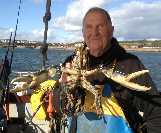 5 lb Lobster by Gorgeous Barry