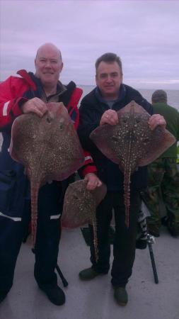 8 lb Thornback Ray by stu