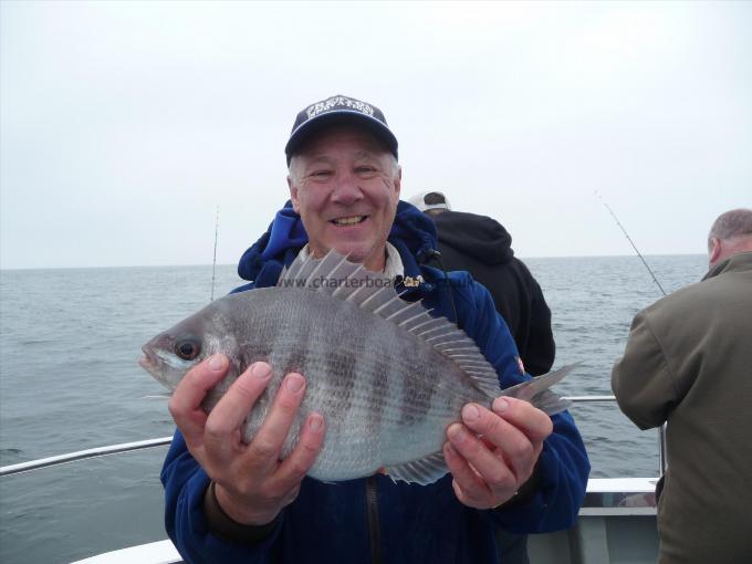 2 lb 8 oz Black Sea Bream by Danny