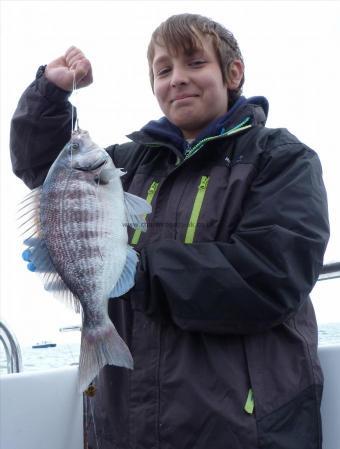 3 lb Black Sea Bream by Will Holt