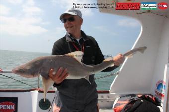17 lb Starry Smooth-hound by John