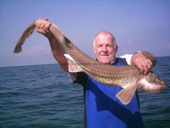 11 lb 6 oz Bull Huss by Dick from Brighton