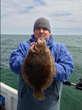 2 lb 8 oz Brill by Unknown