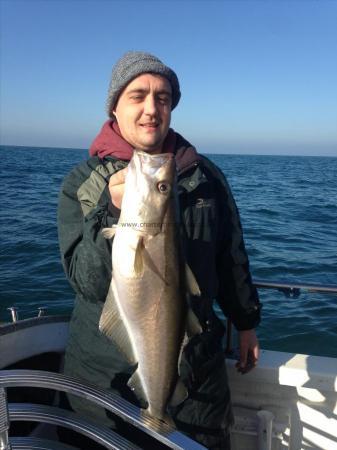 9 lb Pollock by BIlly