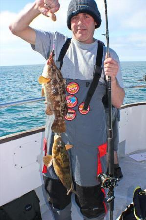 2 lb Ballan Wrasse by Tony Dooney