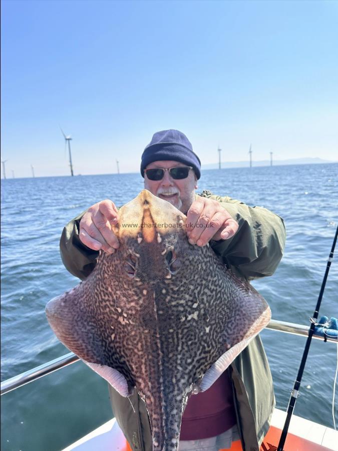4.5 Kg Thornback Ray by Ray Crowe