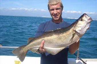 13 lb 2 oz Pollock by Shane