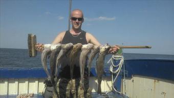 3 lb Cod by Lee Jones