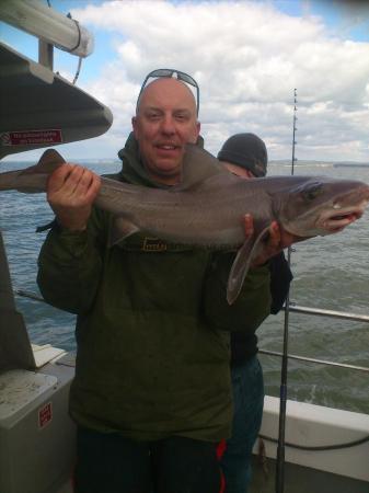 15 lb Smooth-hound (Common) by edgy