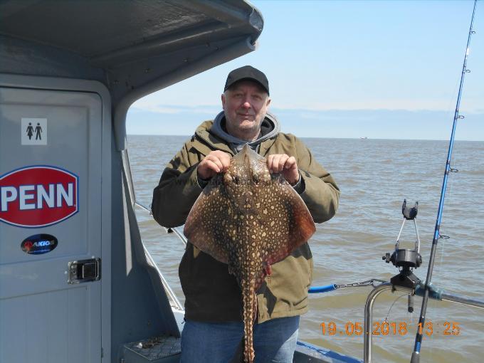 7 lb 5 oz Thornback Ray by Tony Sharkey