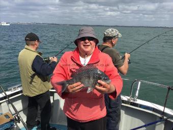 3 lb Black Sea Bream by Neil Wilson