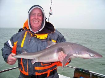 13 lb 5 oz Spurdog by gary davies