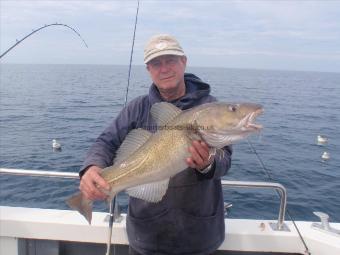 10 lb Cod by Fred Mallander.