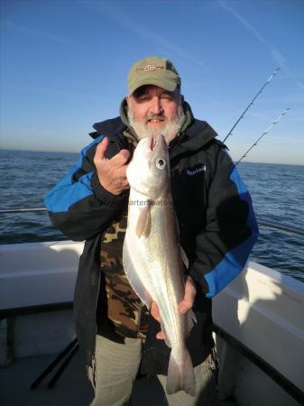 4 lb 6 oz Whiting by Dick Barnes