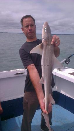 6 lb 3 oz Smooth-hound (Common) by paul