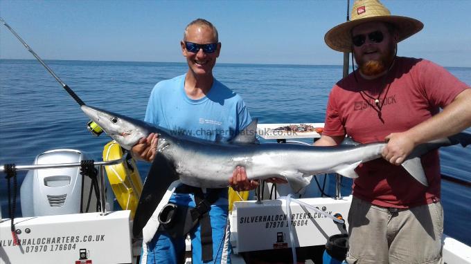 50 lb Blue Shark by Matt