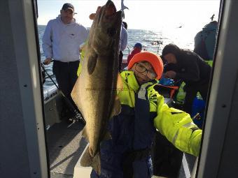 9 lb 1 oz Pollock by Carl walker