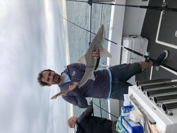 12 lb 7 oz Smooth-hound by David