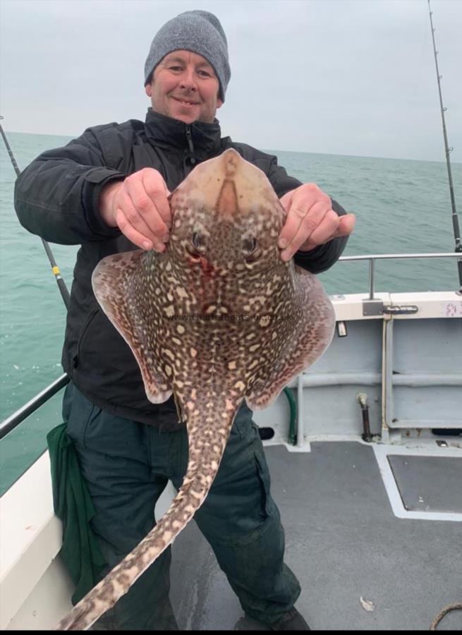 8 lb Thornback Ray by Unknown