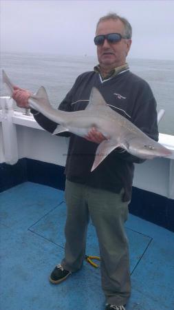 10 lb 6 oz Smooth-hound by andy