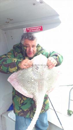12 lb 8 oz Thornback Ray by andre