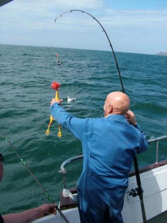 30 oz Tub Gurnard by Sid Hitchison