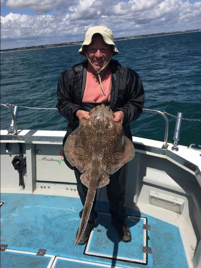 8 lb Undulate Ray by Keith