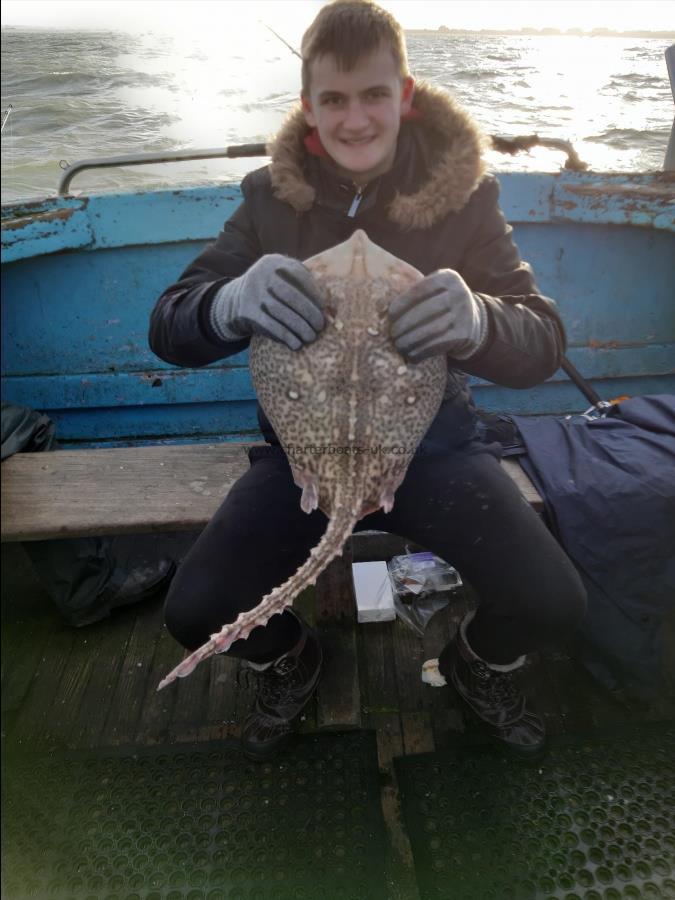 8 lb Thornback Ray by Alfie