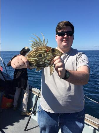 1 lb 4 oz John Dory by Unknown