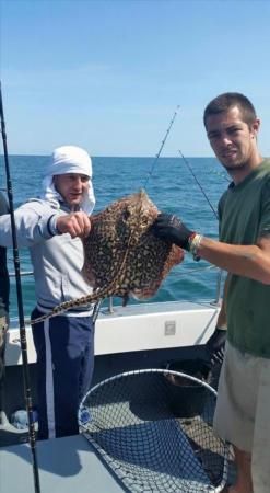 4 lb 12 oz Common Skate by Unknown