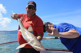 11 lb Starry Smooth-hound by Rob Field