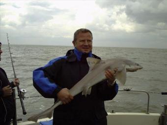 13 lb 8 oz Smooth-hound (Common) by Martin Hawkins