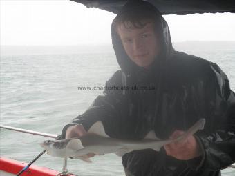2 lb Smooth-hound (Common) by Dan Davies