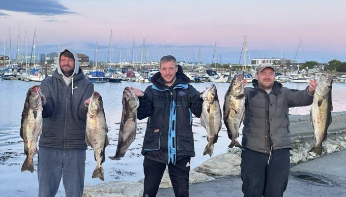 14 lb Pollock by Southsea Crew